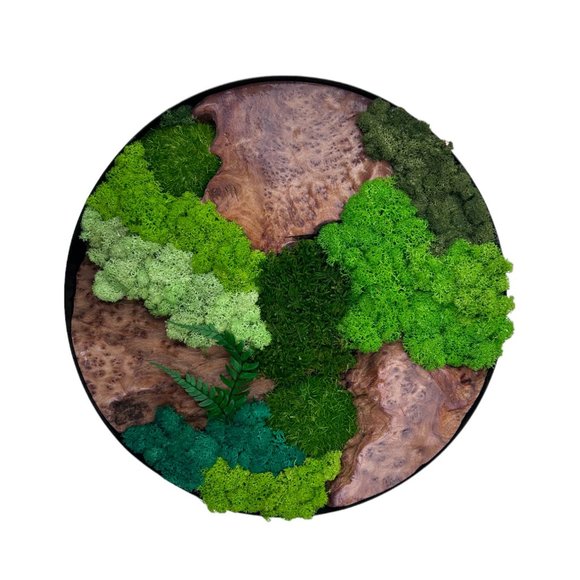 Evergreen Oasis Cedar Wood and Preserved Moss Wall Art - Handcrafted 12x12x1 Inc - Picture 6 of 10
